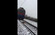 Deux chiens passent sous un train.