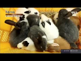 31세 청년, 연매출 2억원?! 비법 대공개!