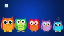Finger Family OWL Cartoon Funny Nursery Rhyme | Crazy Owl Finger Family Songs For Children