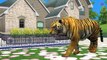 3D Animation Animals Nursery Rhymes Collection - Popular Nursery Rhymes Collection - Animals Songs