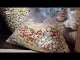 식당과 유명 김치 공장에서 쓰이는 파치 마늘!