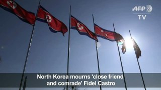 North Korea mourns 'close friend and comrade' Fidel Castro-mJ0yDSPL_dE