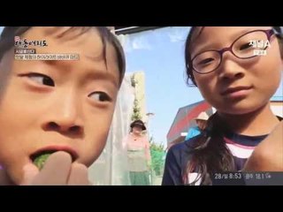 작은 텃밭으로 돈 버는 마을이 있다?!