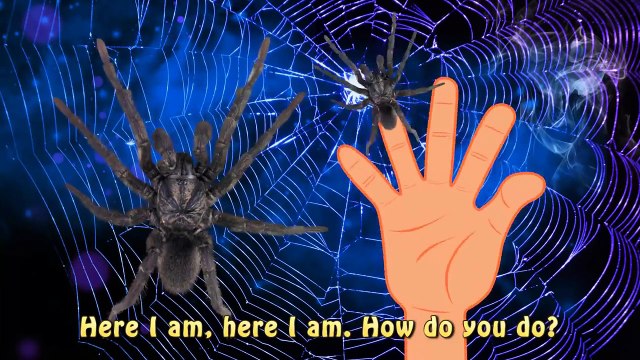 Spider Finger Family Halloween Monster | Funny Song Animals Bugs Web Nursery Rhymes for Children