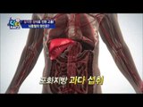 나쁜 콜레스테롤은 따로 있다?! 중풍으로 가는 3박자는?