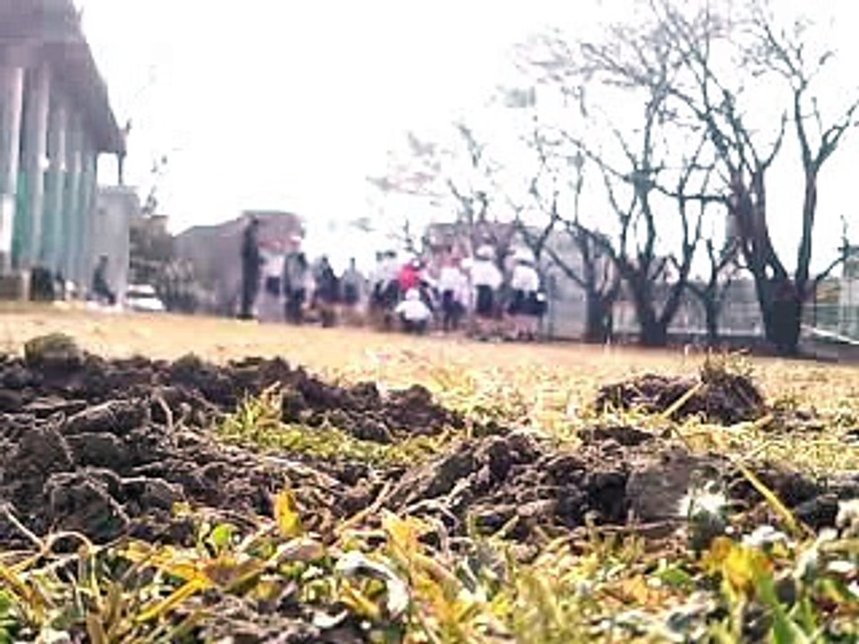小学生　縄跳び