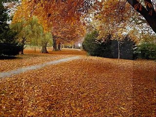 Аркадий Хоралов   Скажи зачем