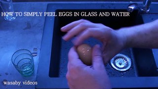 Life Hacks: Cool Science Experiments you can do with Eggs at HOME Must TRY