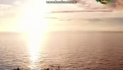 #사설토토솔루션제작 #토토솔루션 #사설토토솔루션제작 #토토사이트임대제작 #스포츠토토사이트제작 문의★ http://cod-soft.com/