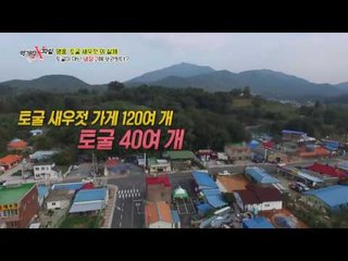 토굴 새우젓 가게는 120여 개인데 토굴은 40여 개??