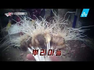 [예고] 끝나지 않은 전쟁, 중국산 ‘뿌리마늘’의 실체!
