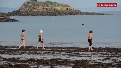 Douarnenez. Les givrés du premier de l'an