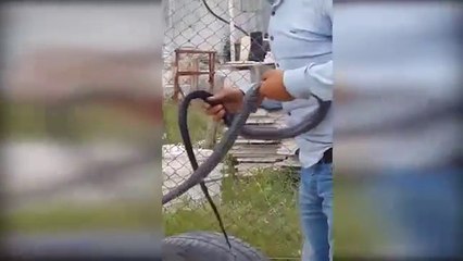 Adana'da lastik değiştirmeye yılanla giden genç