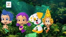 Bubble Guppies Finger Family HD | Bubble Guppies Finger Family Cartoon Animation Nursery Rhymes