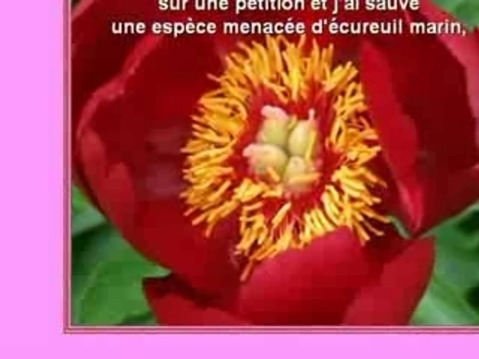 MERCI