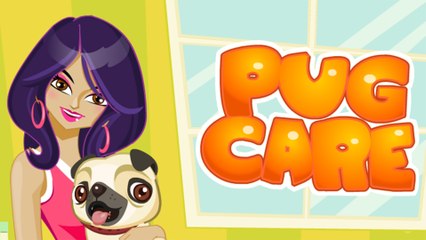 Pug Care - How to take care of your pet dog - Doctor Care