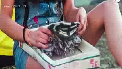 Rehti Thi Main Bezarsi - Club Dancer