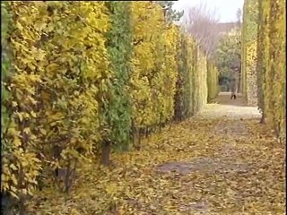 S1Ep07 ΡΕΞ - Φόνος εκ προμελέτης (REX - Die Tote von Schonbrunn)