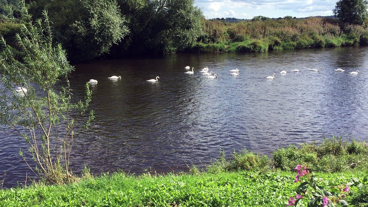 River Lugg 2