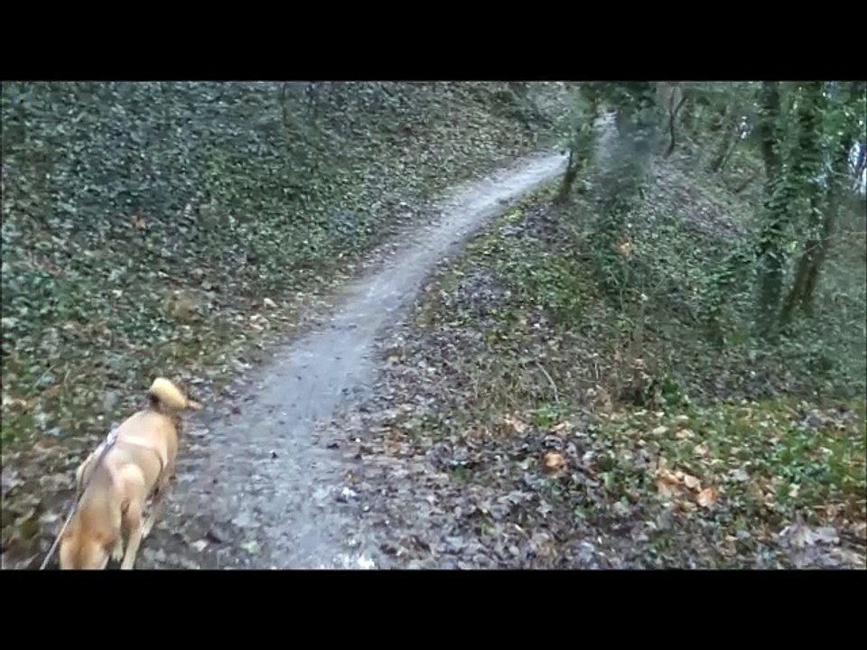 Bonne Année 2017 à tous