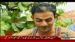 Boss Nahin Chorayga - 1st January 2016