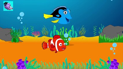 Finding Nemmoh Finger Family Nursery Rhymes by CFF Characters Finger Family