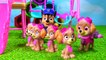 Paw Patrol Skye & Chases Babies Attacked and Stung by Bees and Need Help | Fizzy Toy Show