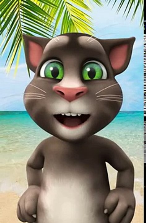 Ayı Talking tom