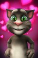 Ağlama sen benim yavrum konuşan kedi talking tom türkçe şarkıları