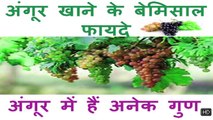 अंगूर खाने के फ़ायदे, Health Benefits of Grapes in Hindi, Grapes for weight loss, skin & Hair