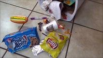 Bad Baby Kitty vs Puppy Gross Food Victoria & Annabelle Toy Freaks Hidden Egg-8d6LkLFJ-RI