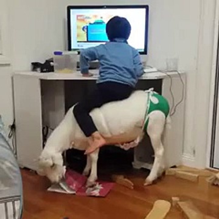 WTF _ WTF _ WTF _ WTF _ WTF _