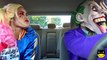 Harley Quinn KIDNAPS Frozen Elsa & Spiderman! vs Joker Hulk PRANK Superheroes Fun