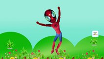 Spiderman Cartoon Animation The Muffin Man | Children Nursery Rhymes | Spiderman The Muffin Songs