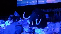 Batu Secret Zoo Museum Ice Age Show Kota Batu Malang