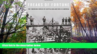 Read  Freaks of Fortune: The Emerging World of Capitalism and Risk in America  Ebook READ Ebook