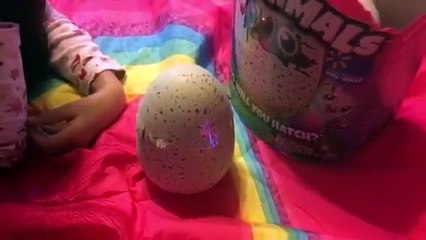 Ce jouet pour enfants dit "Fuc.. You" pendant son sommeil !  Nasty Cussing Hatchimal !!
