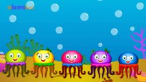 Jelly Fish Cartoons Animation Singing Finger Family Nursery Rhymes for Preschool Childrens Song