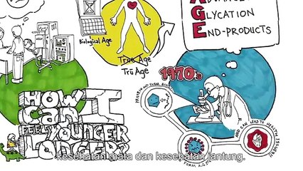 Morinda Indonesia, PT Morinda Indonesia, Kantor Morinda Indonesia