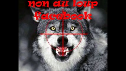 Attaques de loups dans le parking d_un hypermarché - Moscou