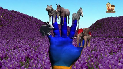 Finger Family 3d Rhyme with Animal Names and Sounds | Nursery Children Finger Family Song Lyrics