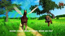 Horse Finger Family | Finger Family Nursery Rhyme | 3D Nursery Rhymes