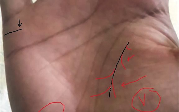 marriage lines-child lines-squares palmistry(1)