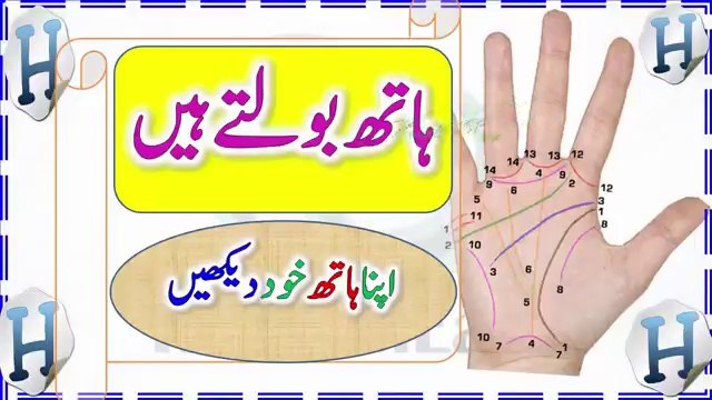 Hand Lines - Life , Head, Heart, Fat, Marriage Lines - Palmistry In Urdu - ہاتھ کی لکیریں