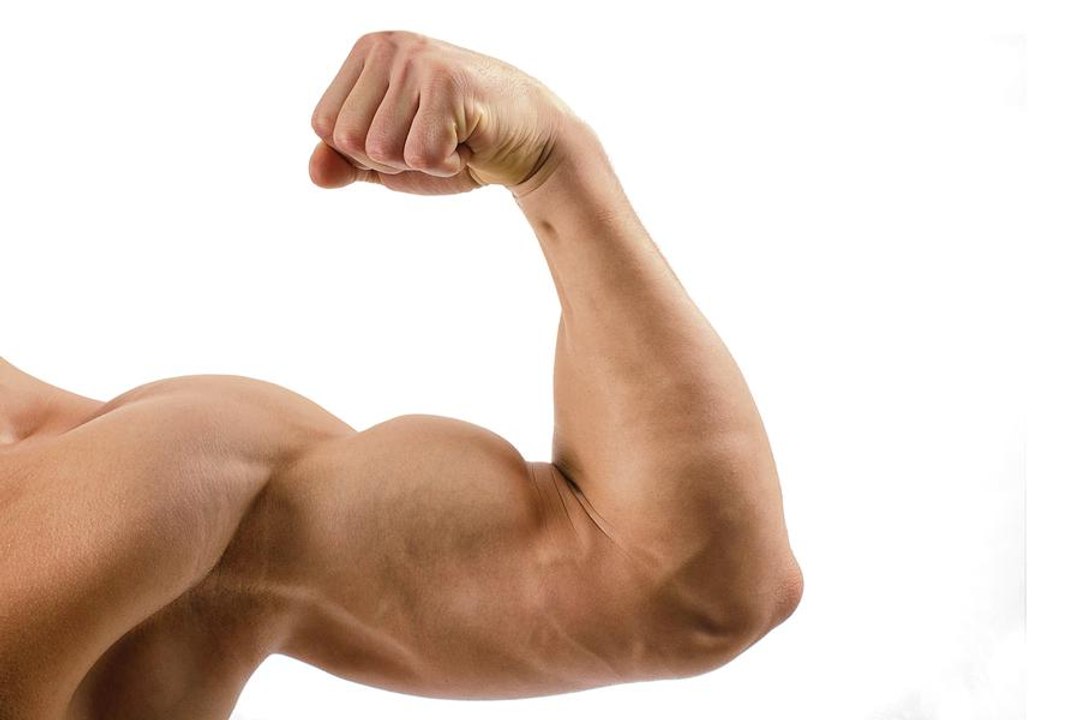 How To Build Muscle In 7 Minutes?