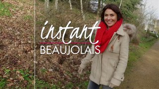 Les sols du Beaujolais