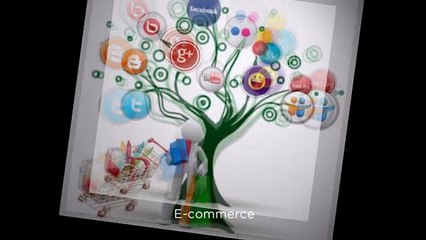 Creative Custom Website Designs for Your Business