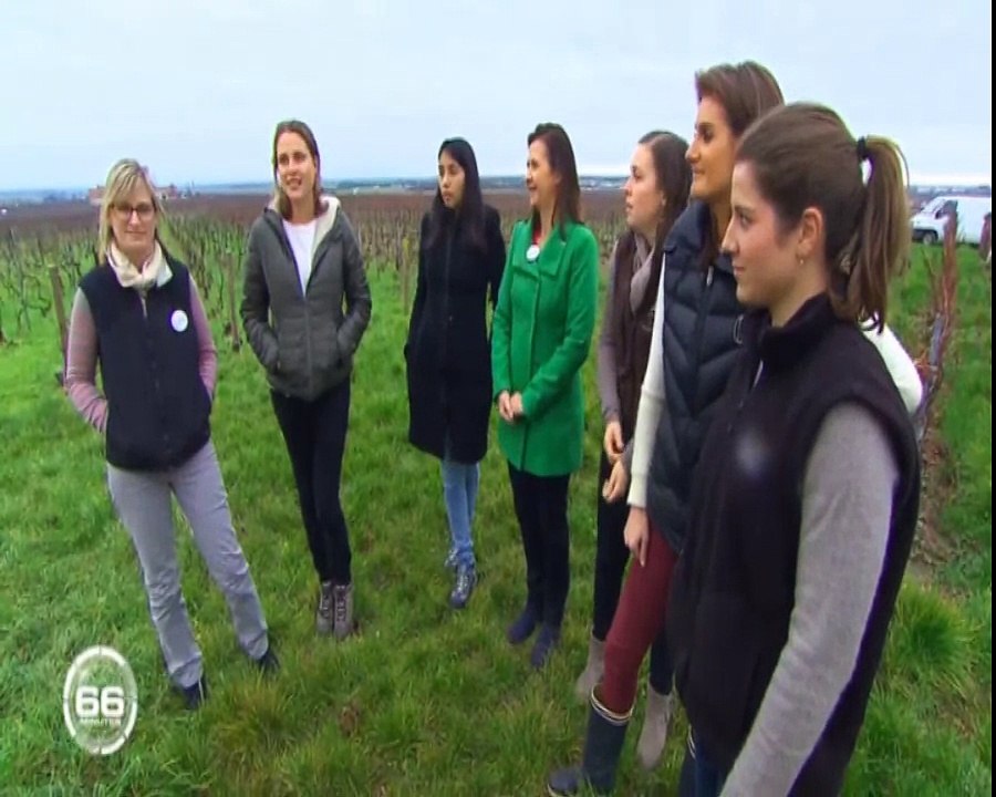 Les Fa'bulleuses de champagne -  reportage 66minutes