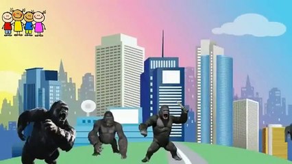 Gorilla-Squirrel -Pineapple-Dog Finger Family Poem   Funny 2D Videos