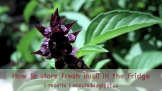 Kitchen Tricks_ How to Store Fresh Basil in the Fridge